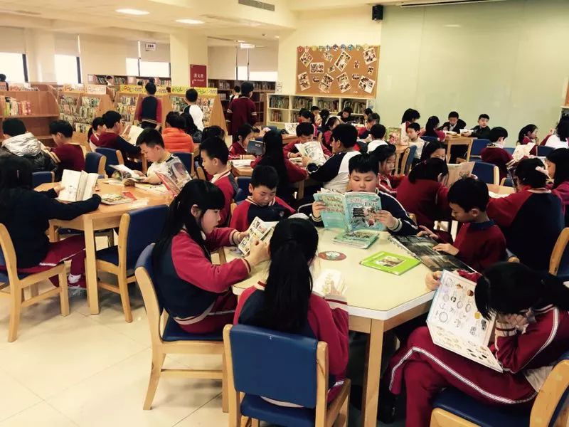 孩子小升初择校的文案,幼升小择校文案