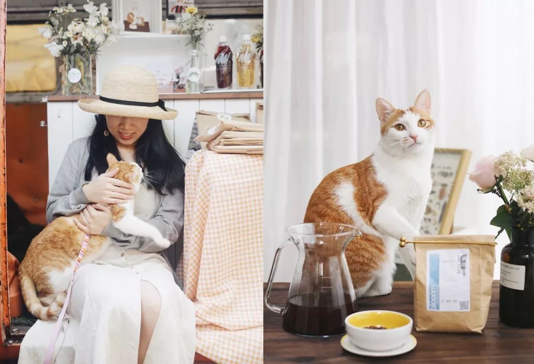 市集|拎着这只9.9元的宜家购物袋，你就是咖啡市集最靓的仔