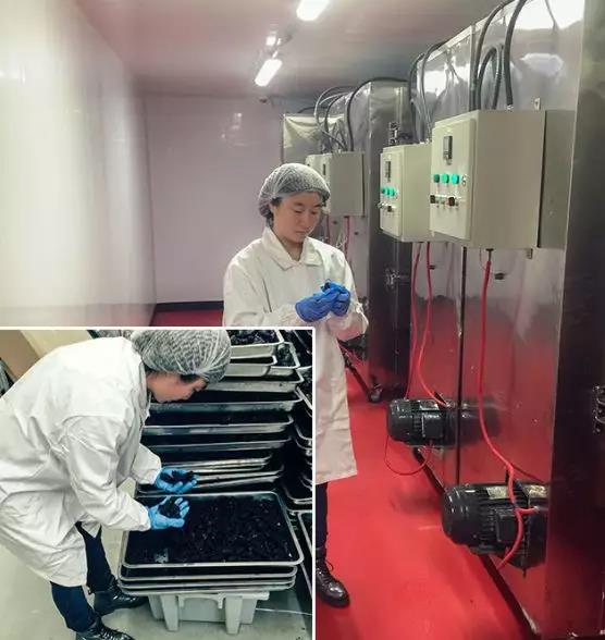 王方林四川,王方林个人简介