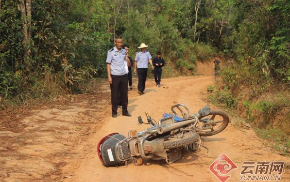 野象袭击,避免危险最好的方法就是远离