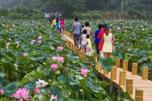 通辽文化旅游季来啦,通辽旅游活动