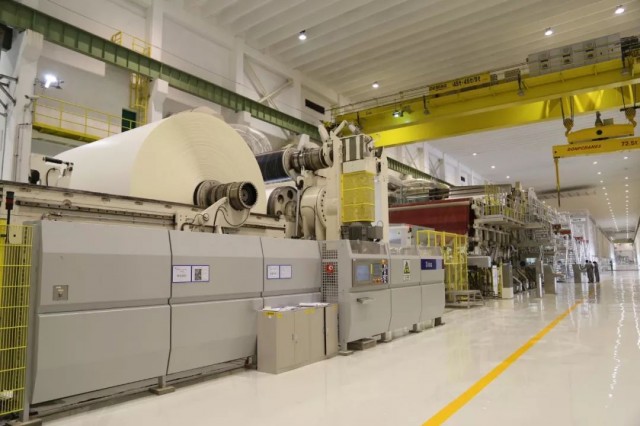 亚太森博广东纸业造纸辛苦吗,走进亚太森博了解造纸奥秘