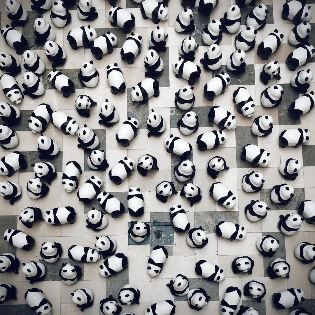 熊猫萌到什么程度,熊猫萌