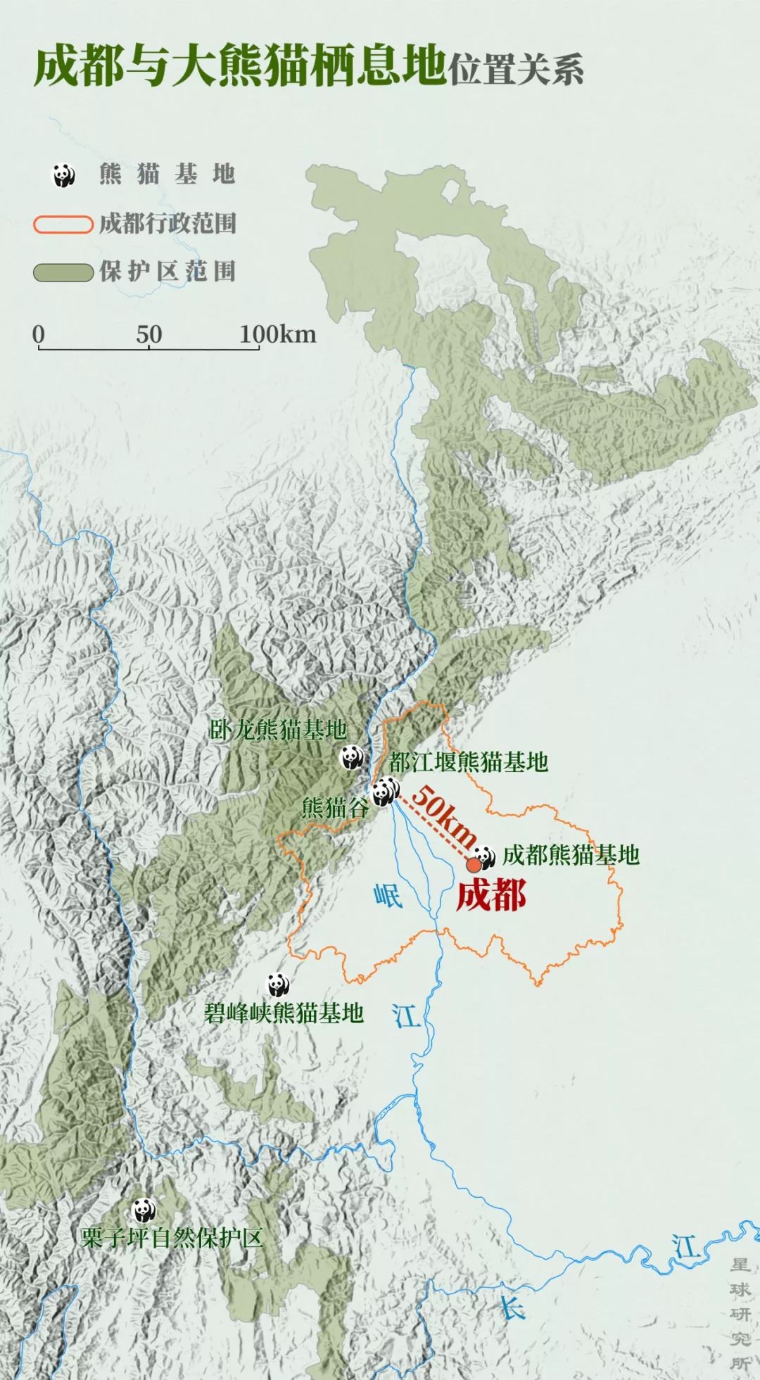 熊猫萌啦,熊猫萌化