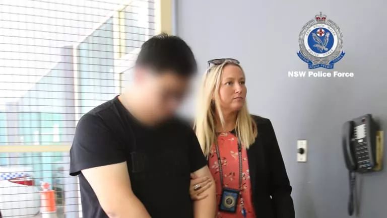 女代购被捕,大量代购奶粉被查官方回应