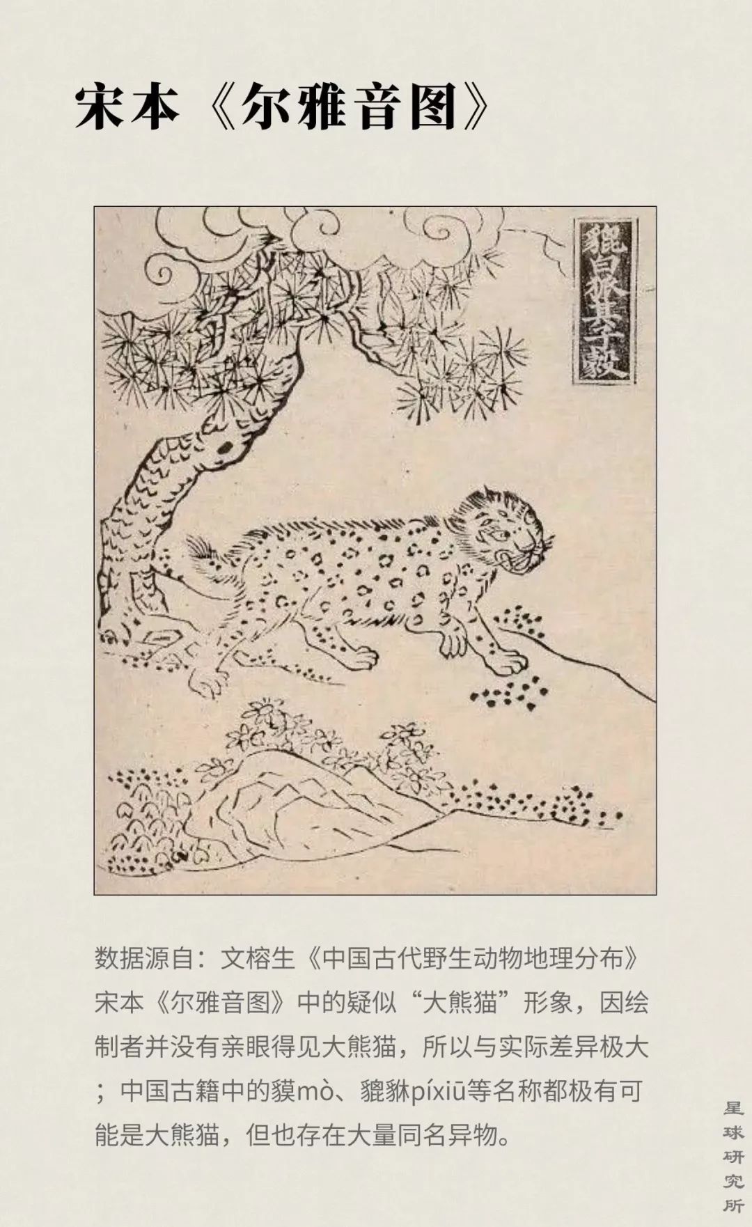 熊猫萌啦,熊猫萌