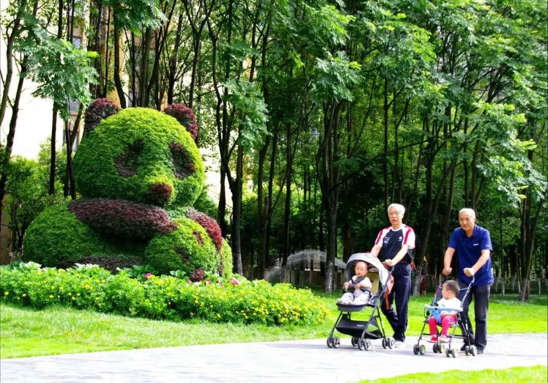 熊猫萌啦,熊猫萌