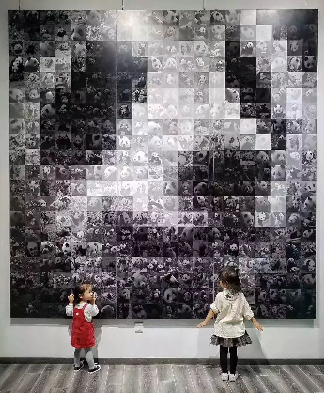 【荐读】熊猫:萌啥子哟,我是要雄起!