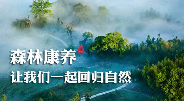 中国中学生跆拳道联赛对战表,2023中国中学生跆拳道联赛福建