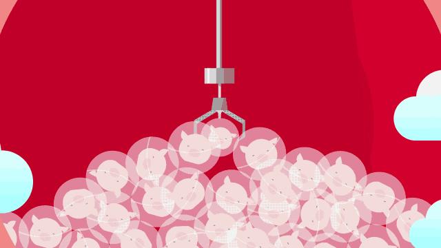 新西兰特价购物,奥克兰免税店有护肤品吗