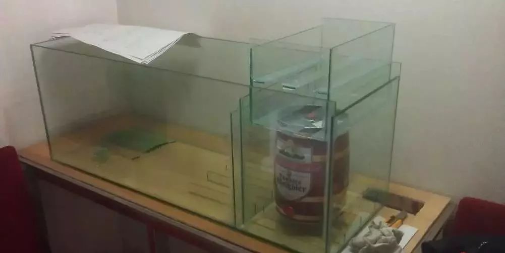 3000块的DIY罗缸，值么？