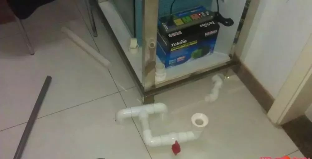 3000块的DIY罗缸，值么？