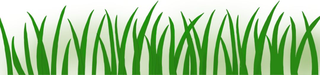 学驾照需要居住证吗,现在考驾照都要居住证吗