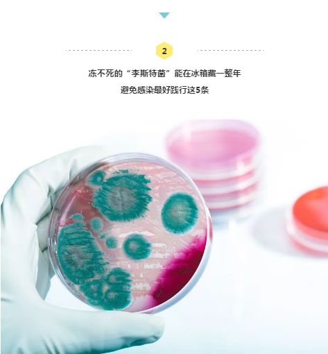 冰箱里的食物哪一些孕妇不可以吃,冰箱里不能加热的食物孕妇怎么吃