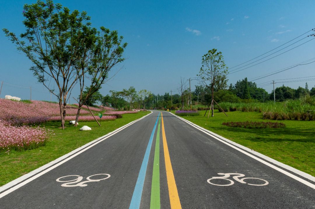 公园新玩法,公园项目的正确玩法