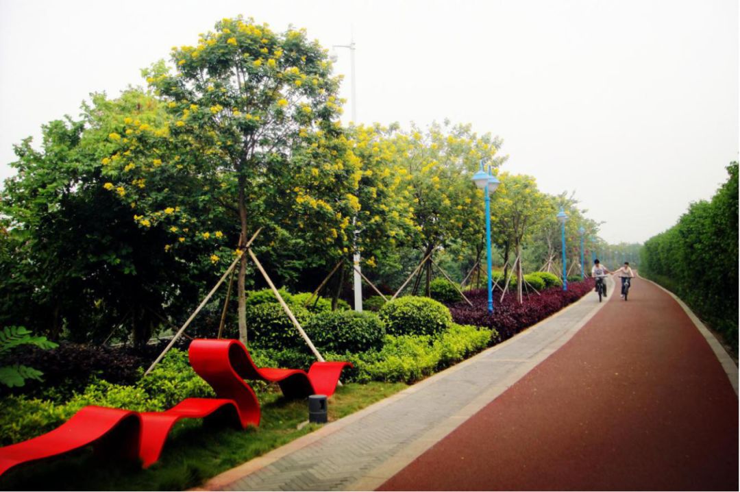 佛山亲子游好去处免门票花海,佛山儿童公园游玩攻略