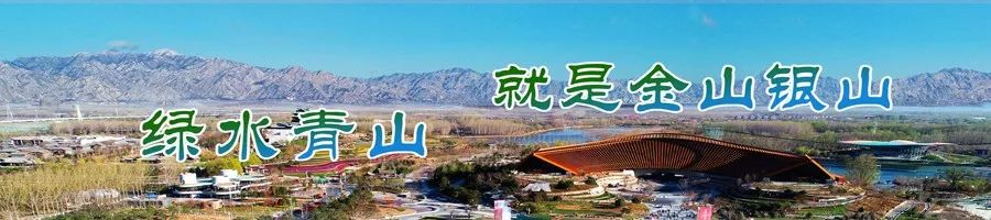 好政策乡村振兴,好政策促进乡村振兴