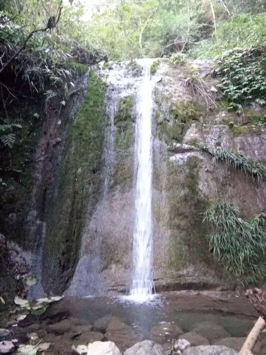 拒绝人从众模式,拒绝人从众的意思