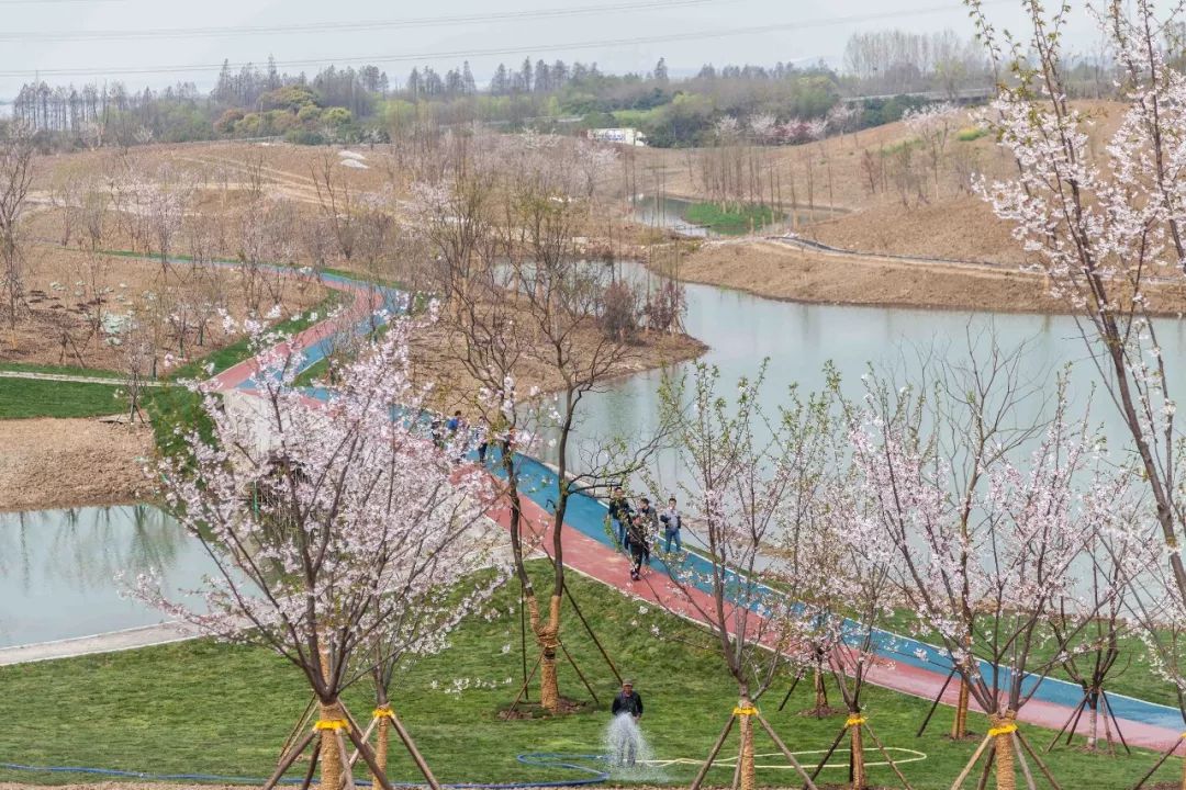 无锡最值得打卡的网红街,无锡梁溪区网红免费打卡地