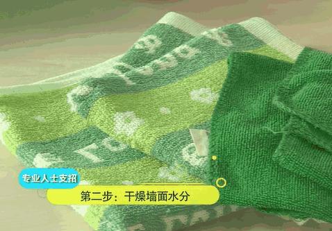 家里墙壁发霉怎么快速去除,墙壁发霉有很多小虫子怎么去除