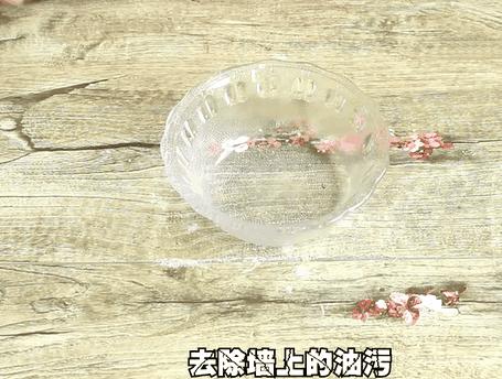 家里墙壁发霉怎么快速去除,墙壁发霉有很多小虫子怎么去除