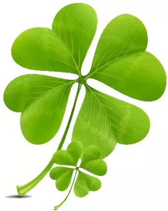 【活力邓中】绿茵点亮青春足球传递激情——记初一级射龙门比赛