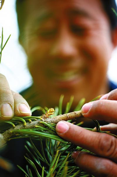 行走在大漠戈壁,行走在新疆的胡杨