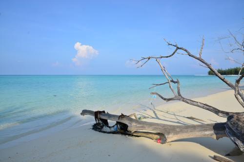 亚庇攻略三天两晚,亚庇选岛攻略