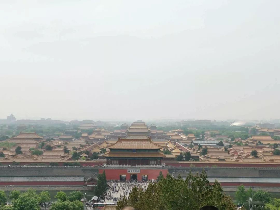 新西兰幼教移民,大龄新西兰留学移民