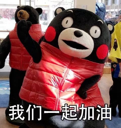 闲聊多肉大军四川“兵团”川南支队养肉记！