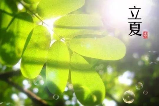 检察院可以驳回强制医疗吗,法律冷知识完整版