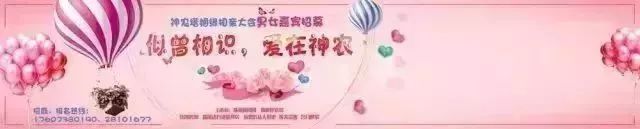 网信app平台,网信e点通