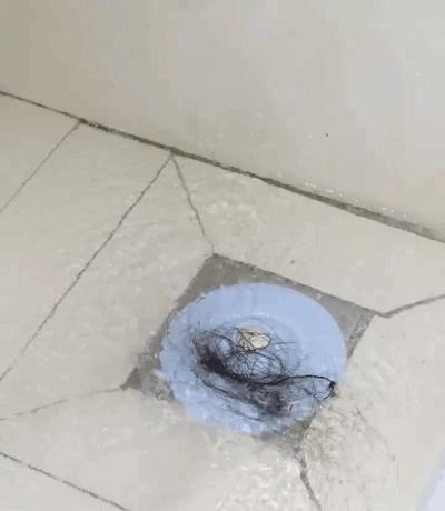 家里有小飞虫和蟑螂,家里装了纱窗还是有小蚊子能进来