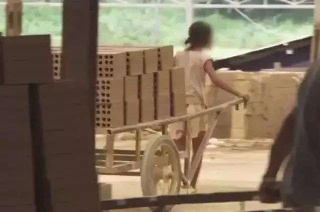 去柬埔寨种地能挣大钱吗,去柬埔寨卖菜或摆路边摊行吗