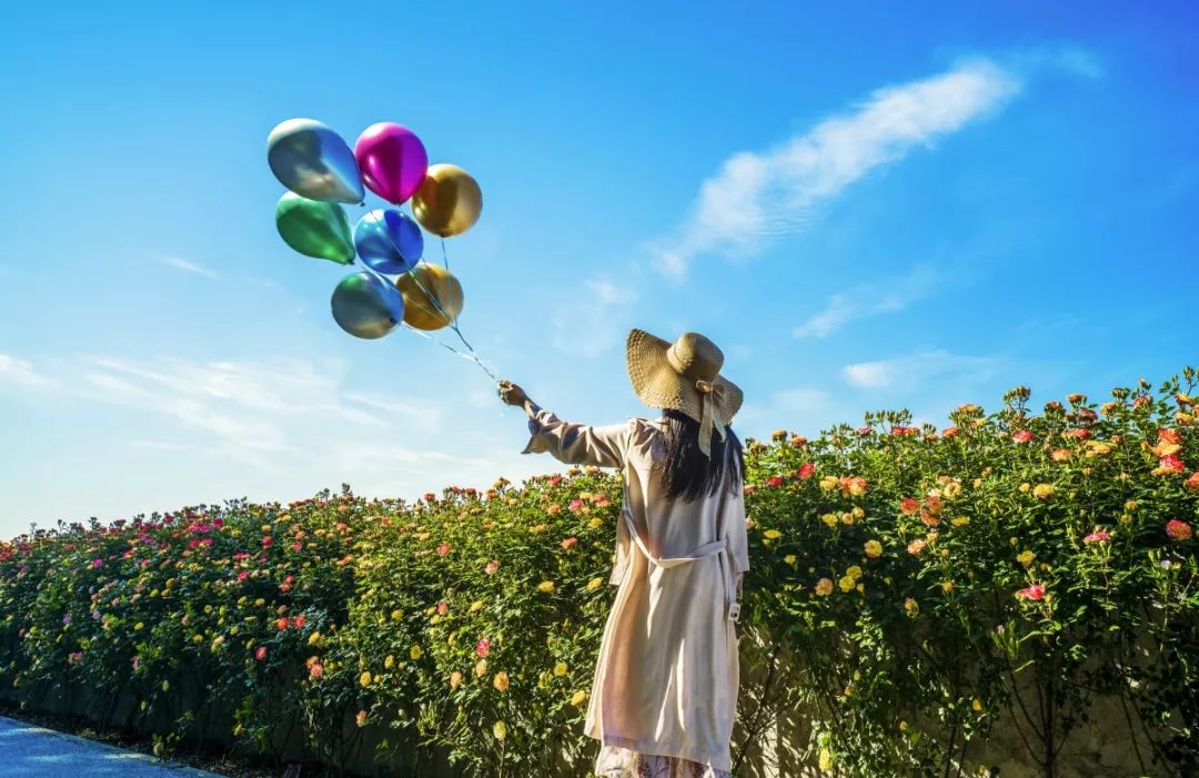 滨江游玩好去处,滨江道适合打卡的地方