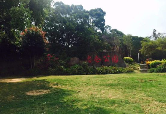 厦门夜景最美公园排名前十的地方,厦门公园美景视频