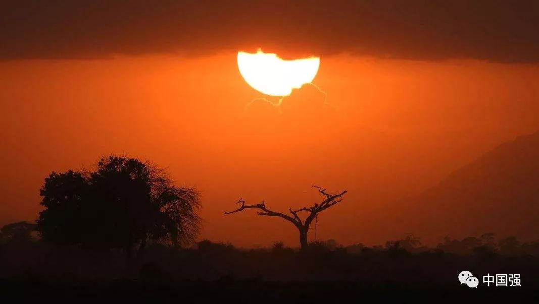 伴随着狂野奢华，用不一样的视角打开动物天堂