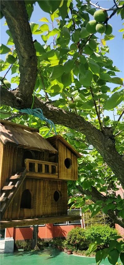 探园幼儿园燕郊,探园幼儿园苏州