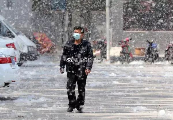 最近过半中国人都在噗噗噗呸呸，一开门，心里飘过一万头羊驼…