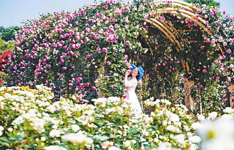 桃坪羌寨好玩还是甘堡藏寨好玩,毕棚沟五一免门票吗