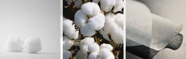 杨天真分享的面膜,杨天真敷面膜