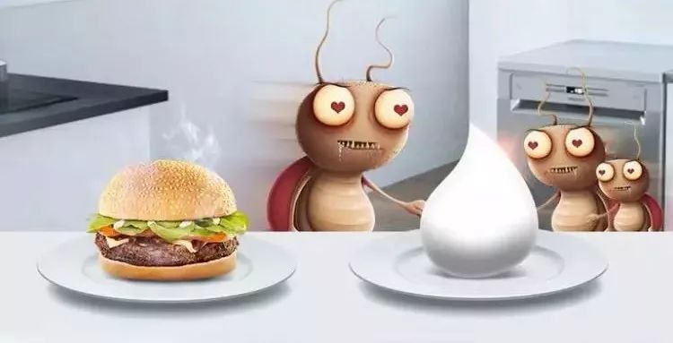 轻轻一贴蟑螂一窝端,广州蟑螂怎么消灭