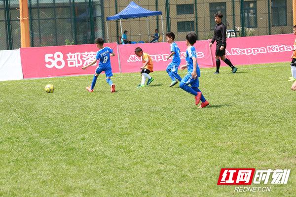 鐭抽棬瓒崇悆灏忓皢,婀栧崡鐭抽棬瓒崇悆灏忓皢