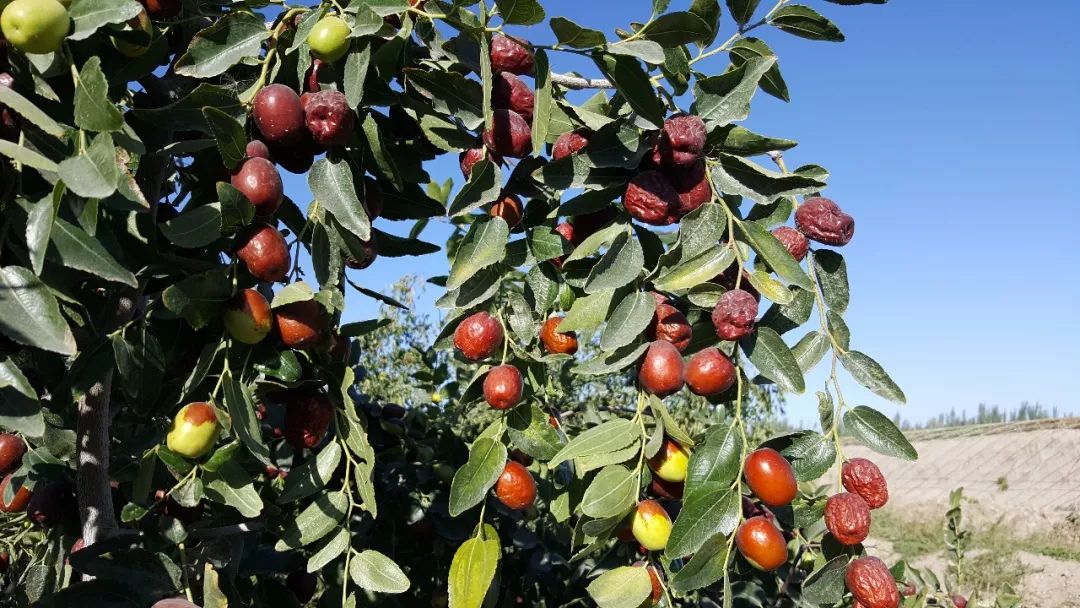 我的扶贫故事原版,我的扶贫小故事扶贫专干