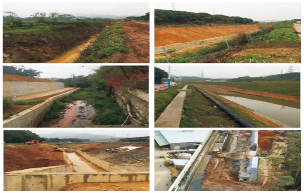 老虎坑水整治提升见成效，昔日臭水沟变身休闲运动“打卡地”！