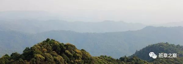 品一杯香茗赏千古美文,品一杯香茗感受诗和远方