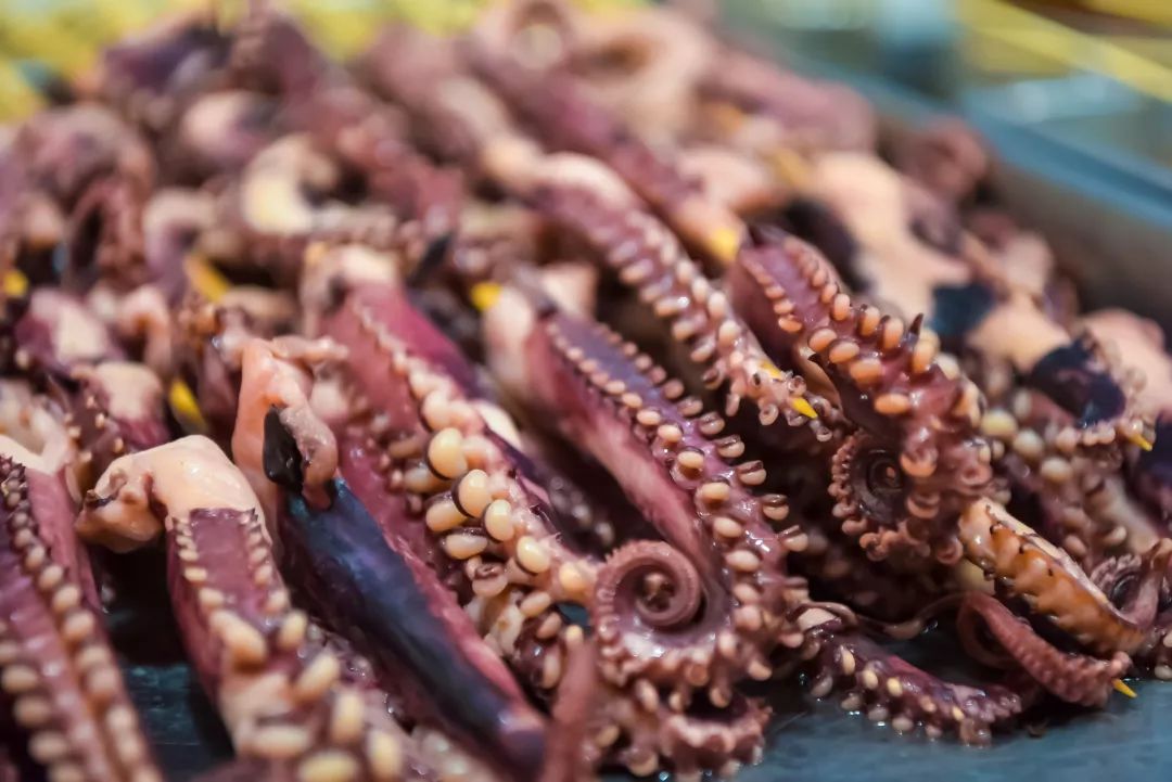 搴勮嚕椋熷崟骞夸笢鏃╄尪,搴勮嚕cba鐞冨憳