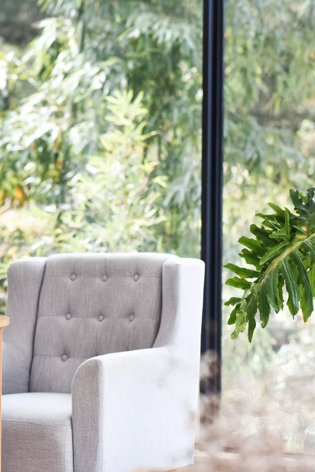 不必去芬兰了，杭州高铁1h就藏着一万颗星星的玻璃屋，过2天山野生活正好！