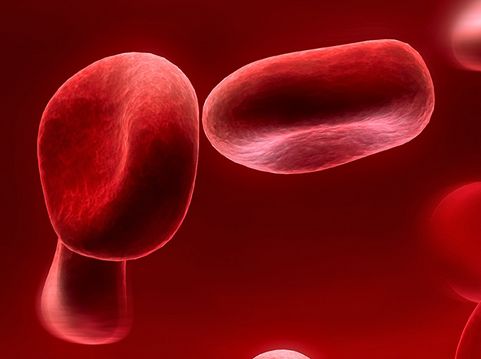 每日医疗科技热点新闻事件,每日最新健康新闻