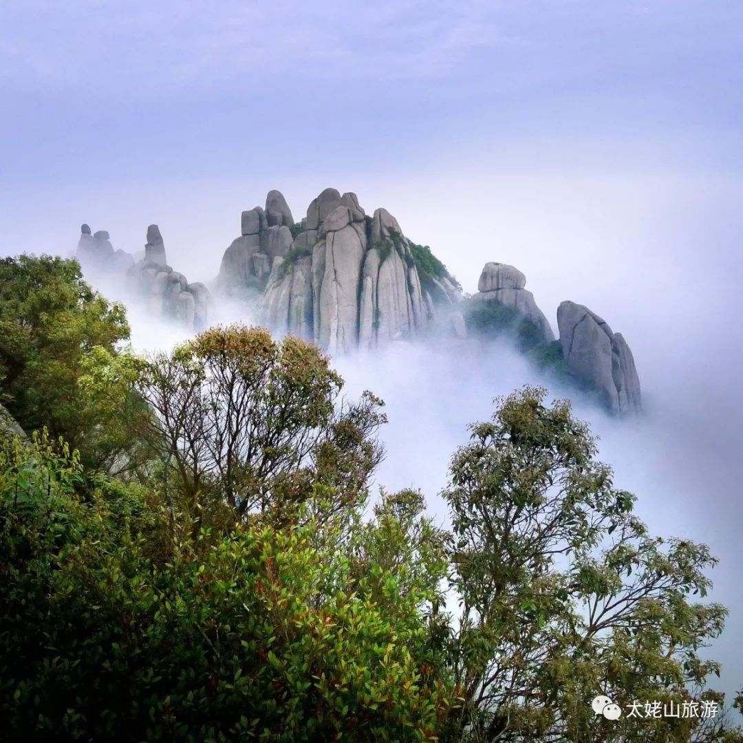 唐颐｜太姥山巅碧空长净